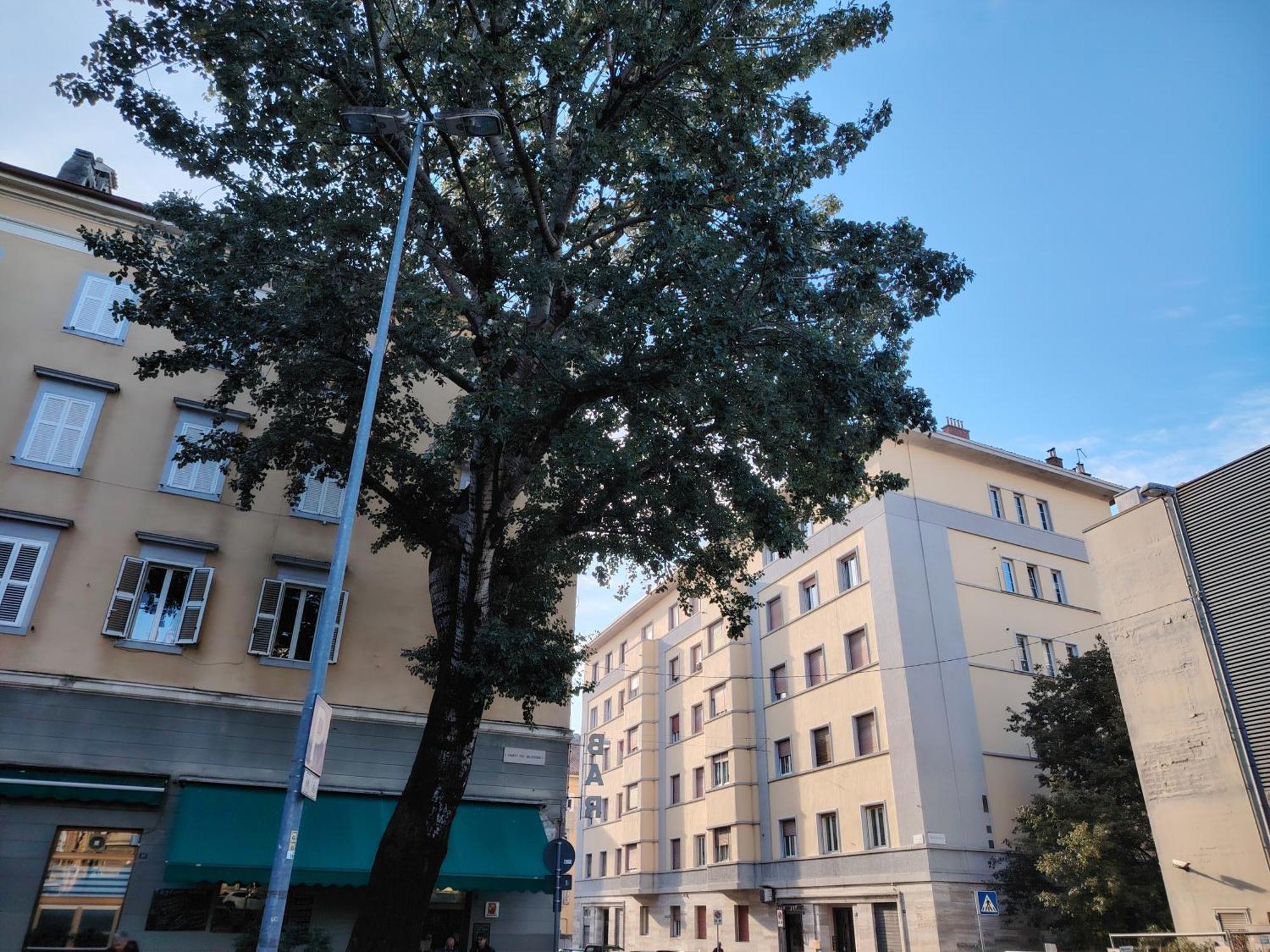 Fabio Haus Триест Экстерьер фото